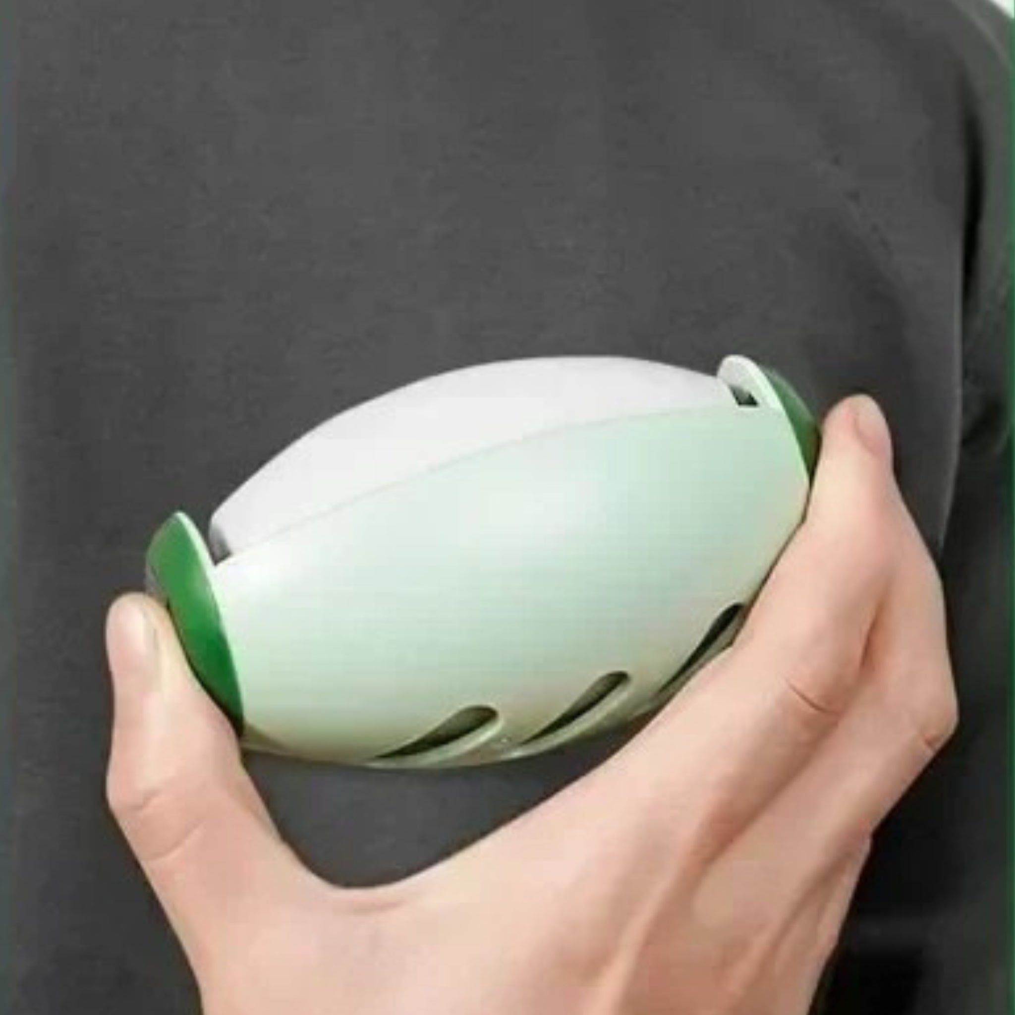 Rouleau anti-poils réutilisable – Poiluxe