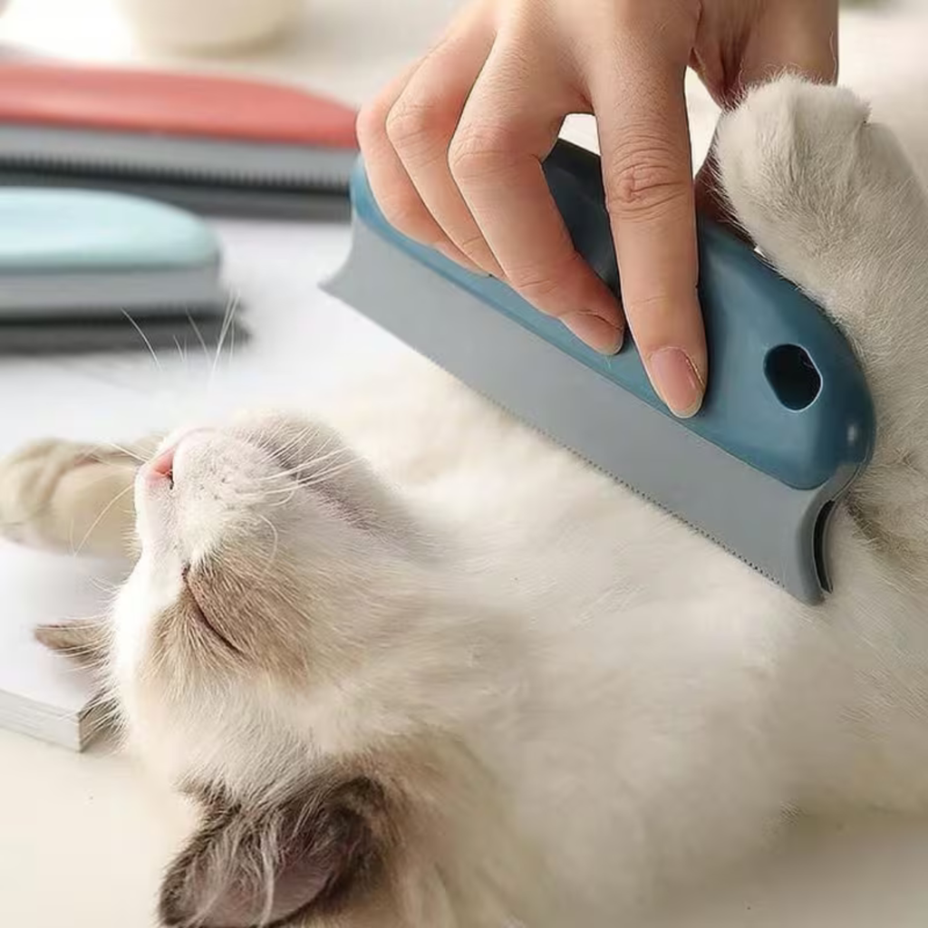 Grattoir Anti-Poils Double Face Portable – Poiluxe