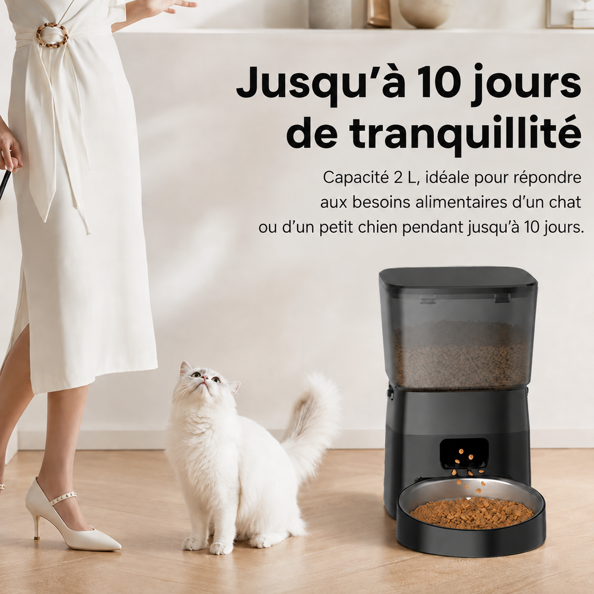 Distributeur Automatique de Croquettes pour Chat - Grande Portion 2L | Poiluxe™