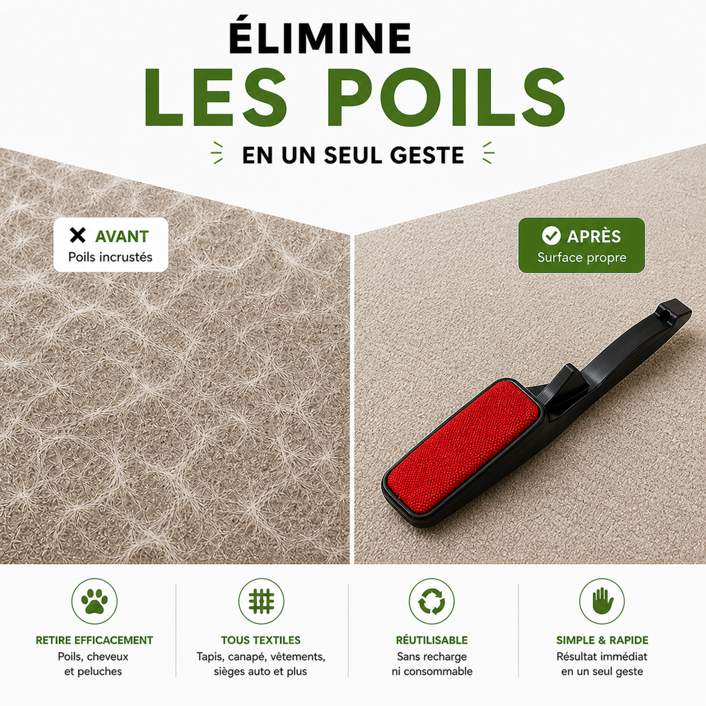 Brosse statique magique – Poiluxe