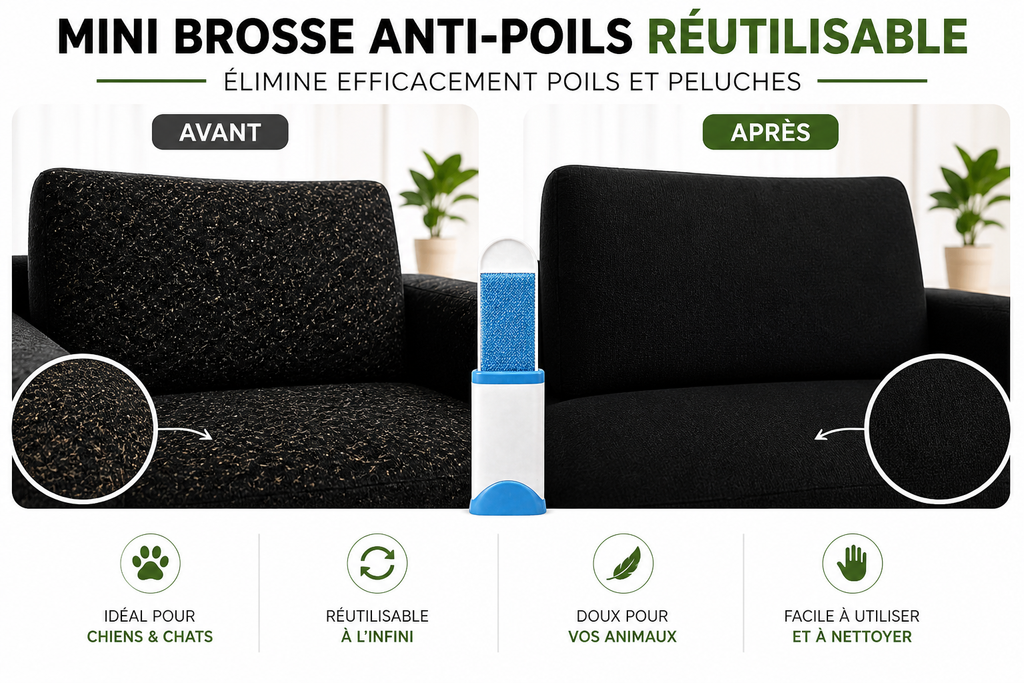 Mini Brosse Électrostatique Anti-Poils Réutilisable – Poiluxe