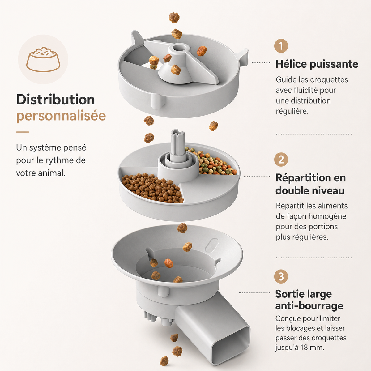 Distributeur croquettes chat caméra intégrée vision nocturne