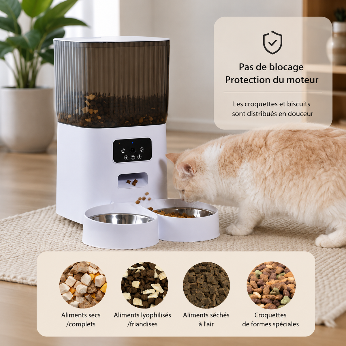 Distributeur automatique de croquettes pour chat Poiluxe design compact